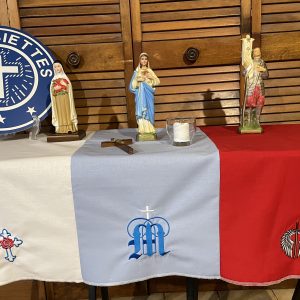 NEW Embroidered Tricolor Table/Station Cover 36 inches