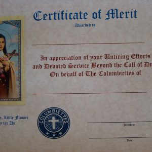 CERTIFICATE - Merit